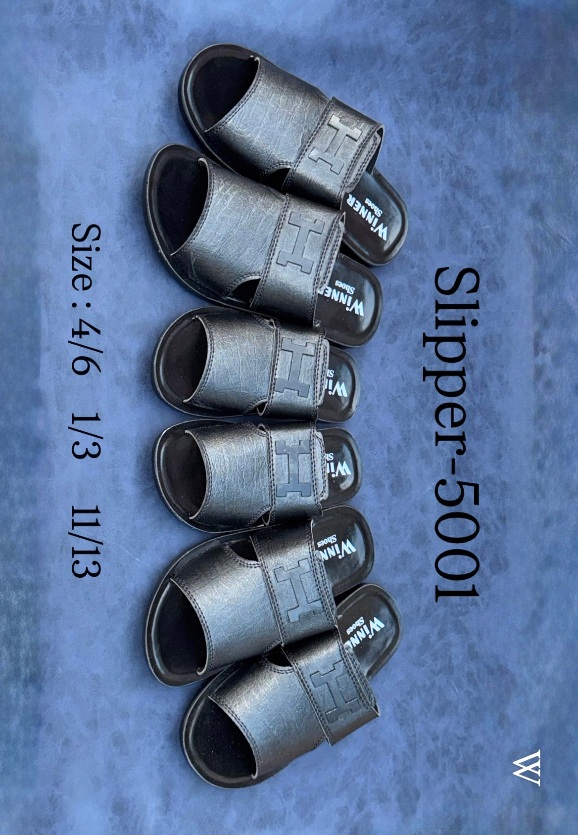 Slipper-5001